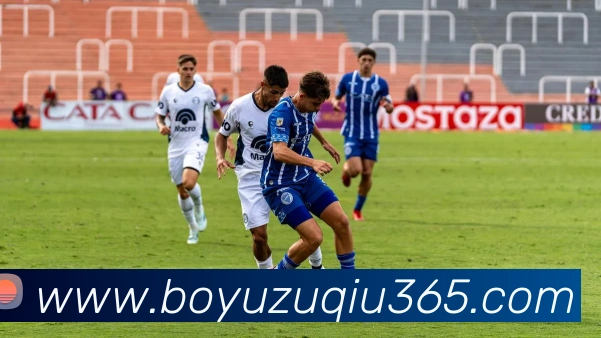 博鱼体育APP 封面图